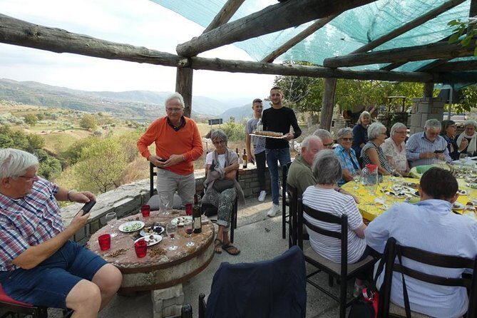 Winetasting tour in Alpeta winery - Roshnik village by 1001 Albanian Adventures - Key Points