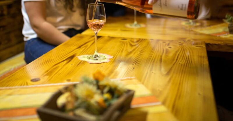 Winetasting with tour through the winery - Key Points