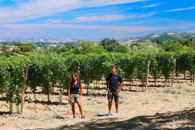 Winetour and tasting on Bologna hills, guided by the wine grower - A Personal Look at the Bologna Hills Wine Tour