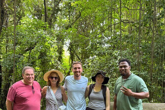 Wingfield Rain Forest Nature Trail Adventure - Exploring the Experience in Detail