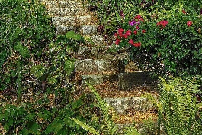 Wingfield Rainforest Adventure Hike and Caribelle Batik stop - Authentic Experiences and Visitor Impressions