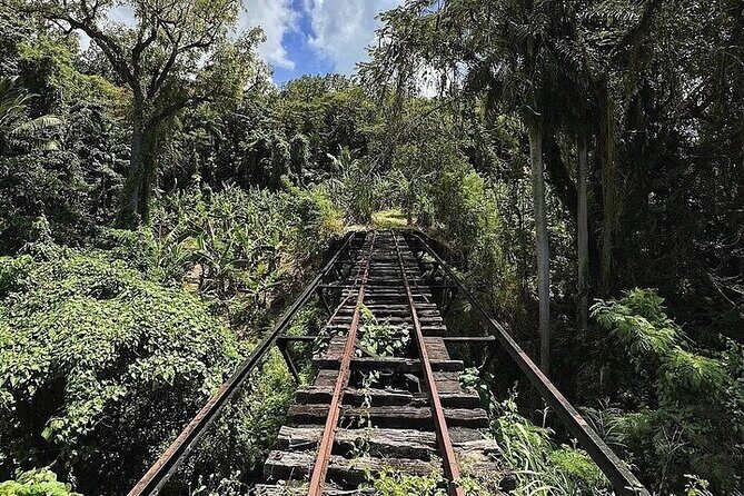 Wingfield Rainforest Adventure Hike and Caribelle Batik stop - FAQ