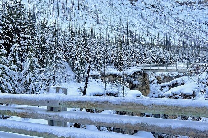 Winter 3 Days- Banff, Yoho, Canyons & Gondola - Practical Aspects & Value
