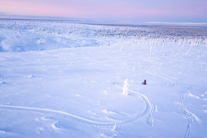 Winter afternoon group Ride in Saariselkä - Who Would Enjoy This Tour?