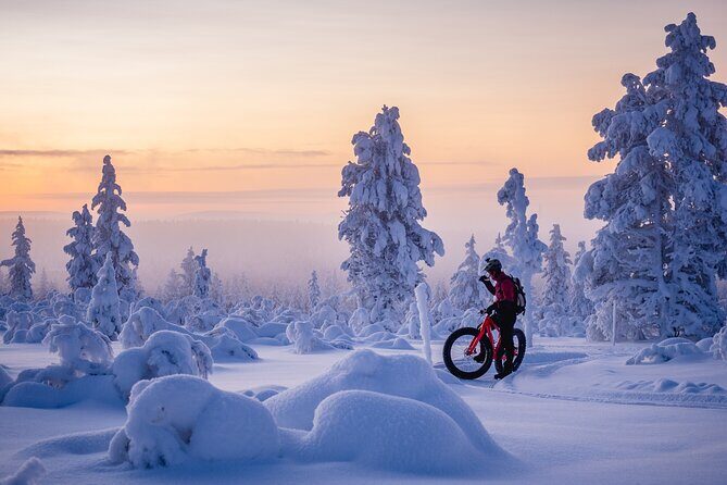 Winter afternoon group Ride in Saariselkä - Practical Details and Tips