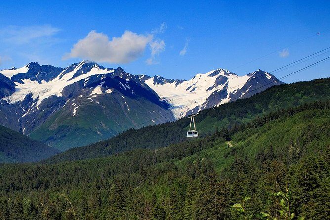 Winter - Alaska Wildlife Center with Alyeska Tram - FAQ