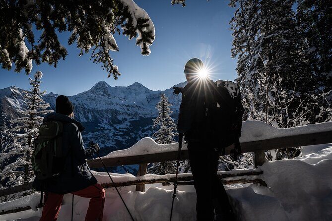 Winter Alpine Adventure - A Detailed Look at the Winter Alpine Adventure
