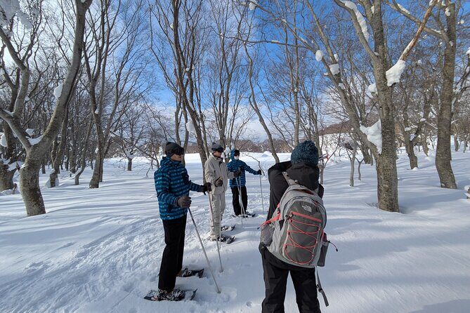 Winter Bites : Taste a Local Flavor in Snow Trek - Winter Bites : Taste a Local Flavor in Snow Trek — An Authentic Snowy Adventure in Aomori