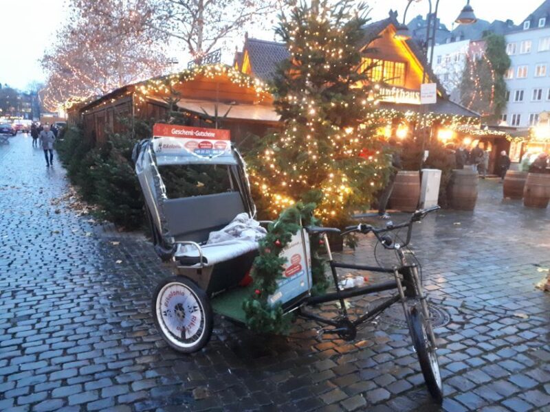 Winter Champagne Tour by Rickshaw - Authentic Experiences and Guest Feedback