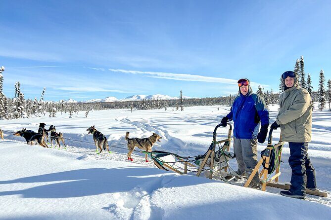Winter Dog Sled Tour: Day or Night. - Frequently Asked Questions