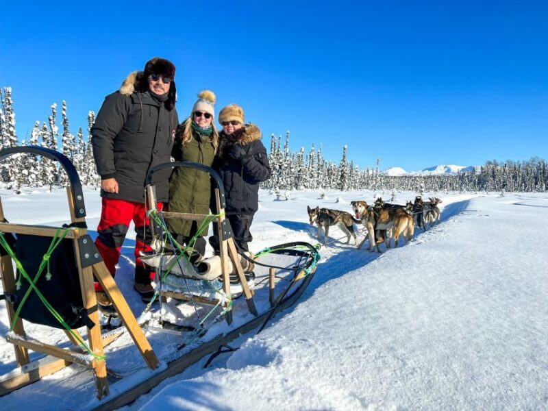 Winter Dog Sled Tour Day or Night Mush! - Discover the Thrill of a Winter Dog Sled Tour in Alaska
