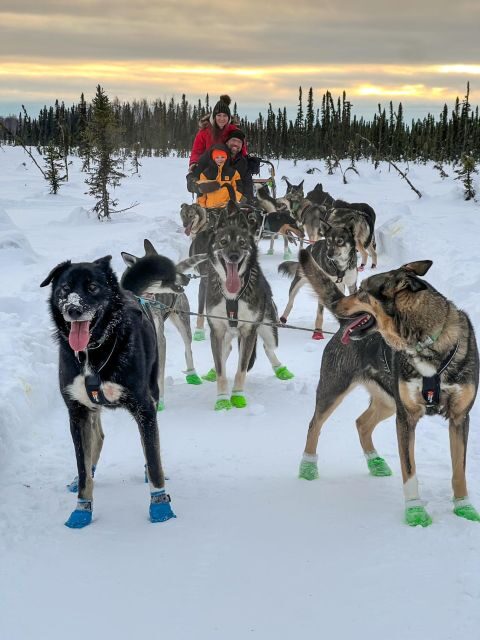 Winter Dog Sled Tour Day or Night Mush! - Who This Tour Suits Best