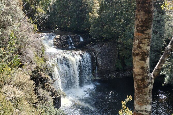 Winter Escape to Tassie - Final Thoughts: Is This Tour Right for You?