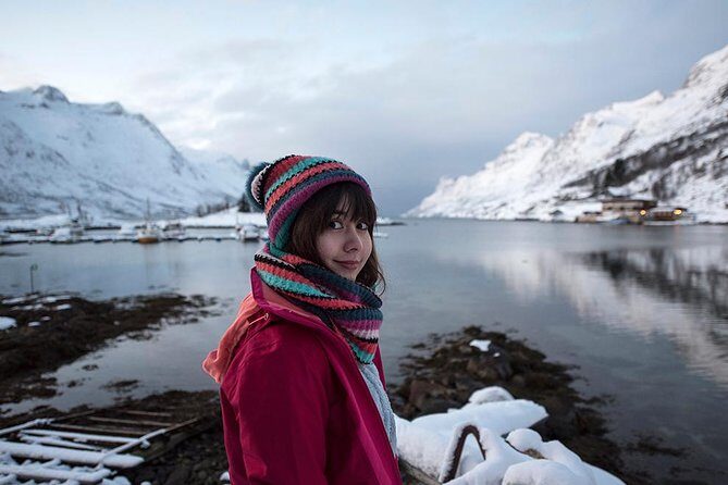 Winter Fjord Road Trip with Citizen Science with Wandering Owl - Exploring the Arctic’s Hidden Corners: Winter Fjord Road Trip with Citizen Science