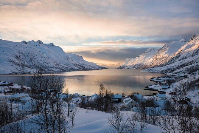 Winter Fjord Road Trip with Citizen Science with Wandering Owl - Key Points