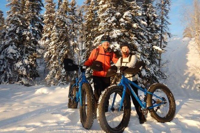 Winter Guided Fat Bike Tour - Discover Yellowknife on a Winter Guided Fat Bike Tour