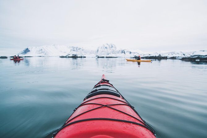 Winter Half Day Kayak Tour - What’s Included and How It’s Structured