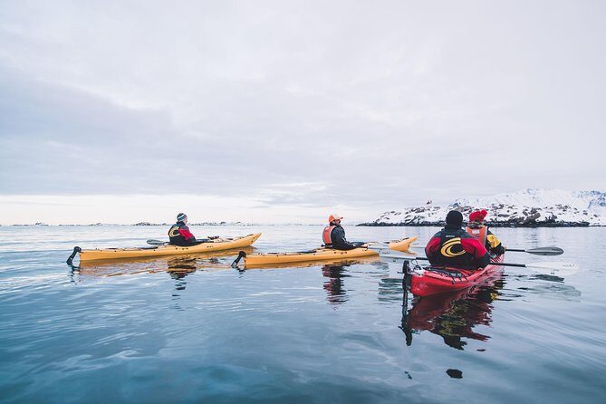 Winter Half Day Kayak Tour - The Practical Side: Booking, Cost, and Cancellations