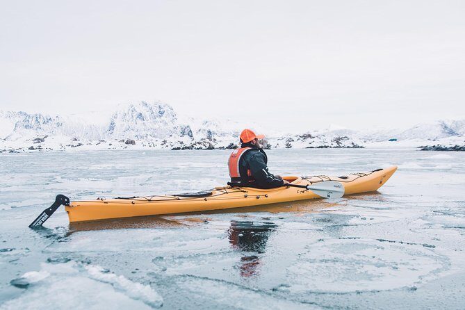 Winter Half Day Kayak Tour - Who Will Love This Tour?