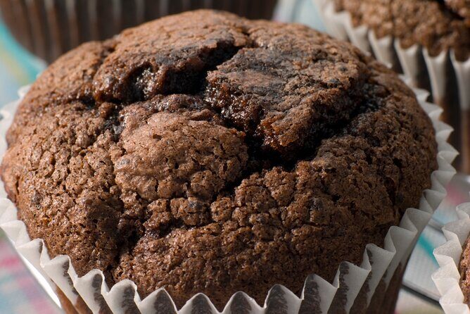 Winter Haven Guided Brunch Tour - Key Points