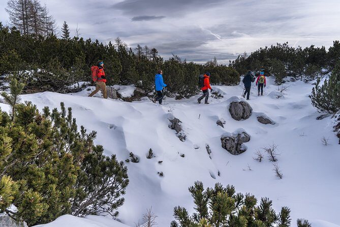 Winter Hike in Julian Alps - A Detailed Exploration of the Winter Hike in the Julian Alps