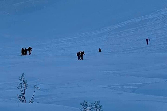 Winter Hiking Set for Snowshoes and Trek Poles - Key Points