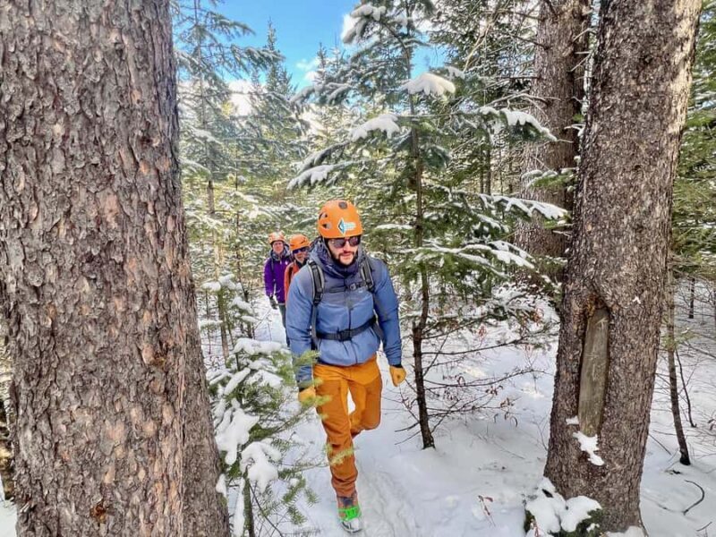 Winter Ice Canyoneering Adventure (Beginner) - Half Day - Who Should Consider This Tour?
