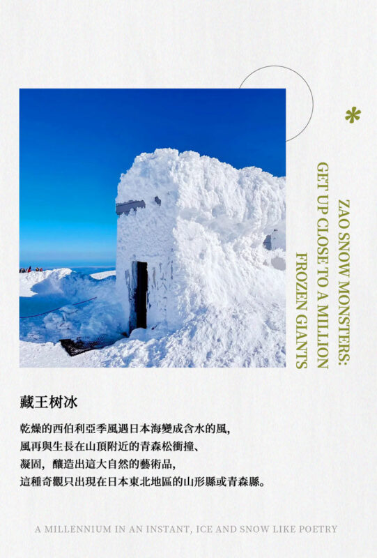 Winter Limited: Ginzan Onsen, Zao Snow Monsters, and Zao Fox Village 2-Day Tour | Stay at Naruko Onsen - Enjoy a Japanese-Style Onsen Inn | Departure from Tokyo - Ginzan Onsen: a brief walk through old Japan