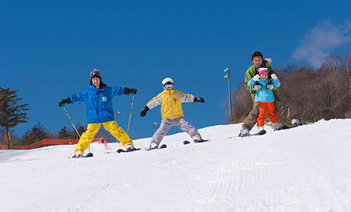 Winter Limited: Mt. Fuji Yeti Skiing or Izu Strawberry Picking Day Trip | Choose between two itineraries | Departure from Tokyo - What the price buys, and what it does not