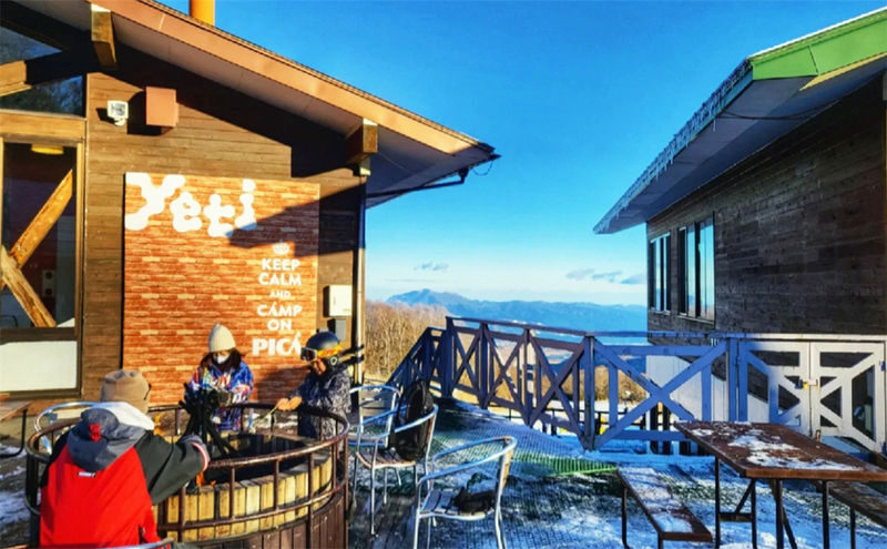 Winter Limited: Mt. Fuji Yeti Skiing or Izu Strawberry Picking Day Trip | Choose between two itineraries | Departure from Tokyo - The closure risk and other practical limits