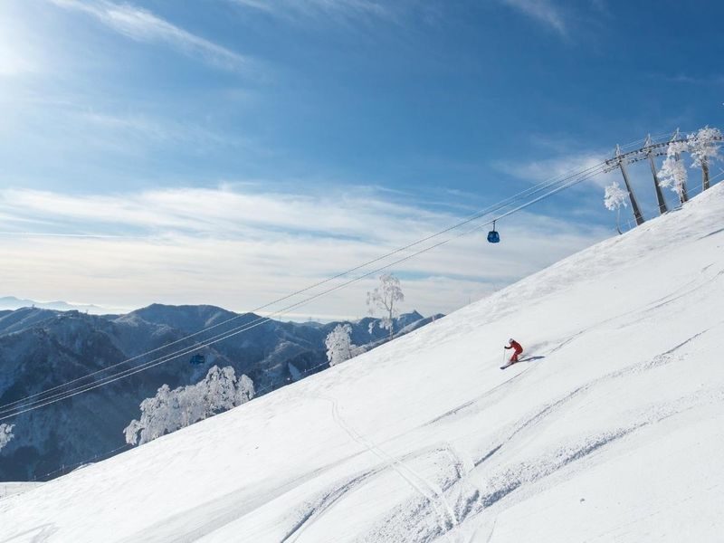 Winter limited ski private car charter: GALA Yuzawa, Naeba NAEBA, Hakuba ski resort (ski day trip/one-way transfer) - Key points before you book