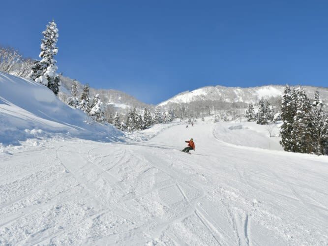 Winter limited ski private car charter: GALA Yuzawa, Naeba NAEBA, Hakuba ski resort (ski day trip/one-way transfer) - One-way transfer or a full-day charter?