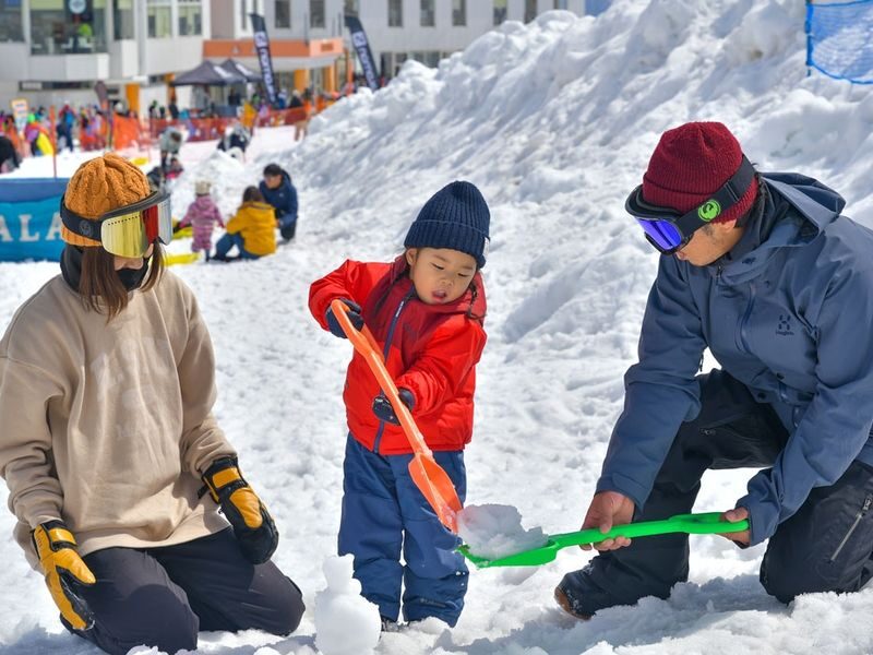 Winter limited ski private car charter: GALA Yuzawa, Naeba NAEBA, Hakuba ski resort (ski day trip/one-way transfer) - What the ride and ski day involve
