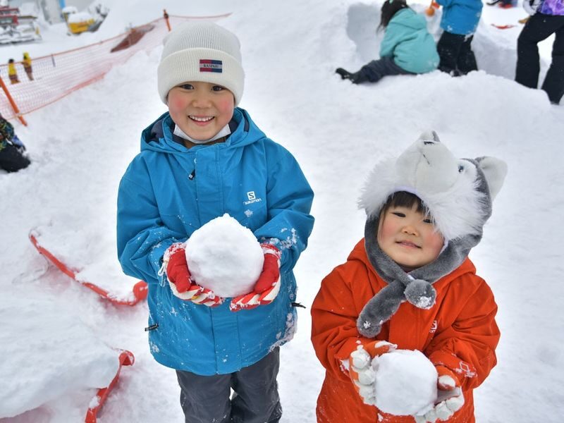 Winter limited ski private car charter: GALA Yuzawa, Naeba NAEBA, Hakuba ski resort (ski day trip/one-way transfer) - Vehicle size, luggage, and child seats