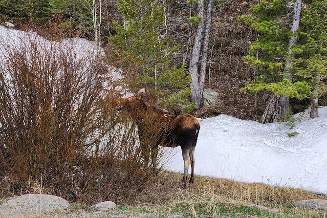 Winter on the Rocks with S'mores (Wildside 4x4 Tours) - Key Points