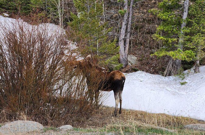 Winter on the Rocks with S'mores (Wildside 4x4 Tours) - Educational and Scenic Stops