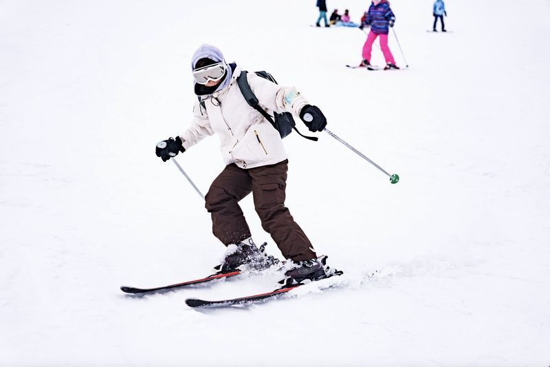 Winter Only: Kobe Rokkosan Snow Park Skiing/Snow Playing Day Tour (Departing from Osaka) - What the seven-hour park stop feels like