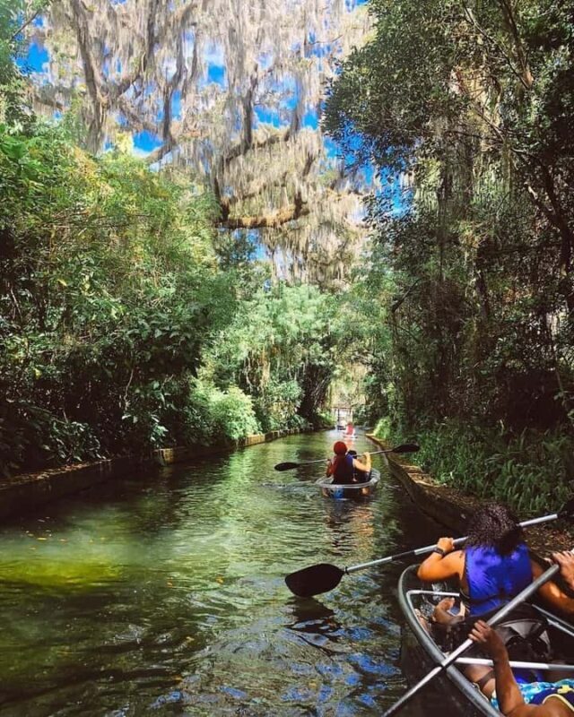 Winter Park: Clear Kayak Tour on Chain of Lakes - Who Will Love This Experience?