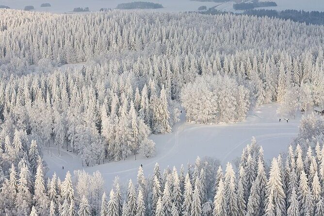 Winter Quad Bike Ride in the Arctic Circle from Rovaniemi - An In-Depth Look at the Arctic Quad Bike Adventure