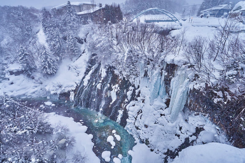 Winter Small Group Tour: Asahiyama Zoo & Biei Christmas Tree & Shirogane Blue Pond & Ningle Terrace Day Trip | Optional Hotel Pickup - Ningle Terrace’s small forest workshops