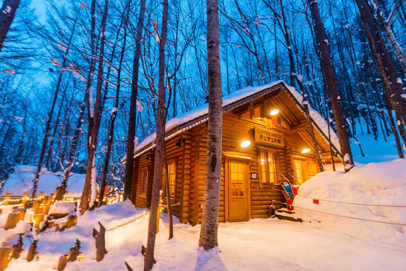 Winter Small Group Tour: Asahiyama Zoo & Biei Christmas Tree & Shirogane Blue Pond & Ningle Terrace Day Trip | Optional Hotel Pickup - Small-group transport, with a driver rather than a guide