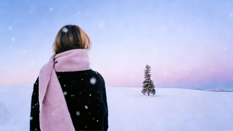 Winter Small Group Tour: Asahiyama Zoo & Biei Christmas Tree & Shirogane Blue Pond & Ningle Terrace Day Trip | Optional Hotel Pickup - What the price covers, and what it does not