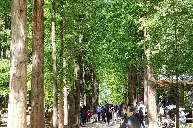 Winter Sonata TV Tour on Nami Island from Seoul - Exploring the Day Step-by-Step