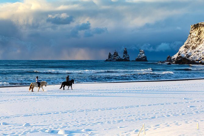 Winter South Coast Day Tour by Minibus from Reykjavik - Why This Tour Is Perfect for You