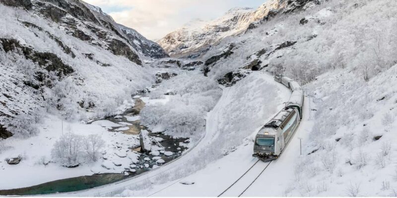 Winter Tour Viking Village, Nærøyfjord Cruise & Flåm Railway - A Thorough Look at the Tour Experience