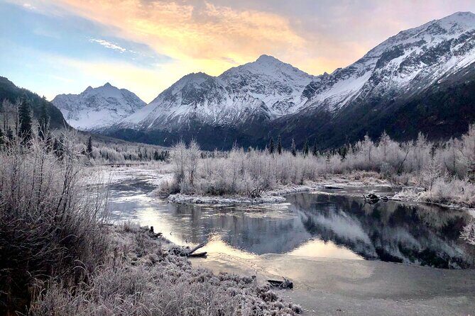 Winter Valley and Forest Hike - Experience the Beauty of Alaska on a Winter Valley and Forest Hike