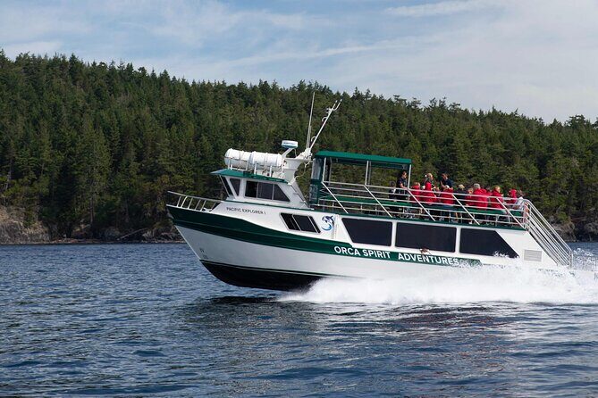 Winter Victoria Whale and Wildlife Covered Vessel Tour - An Authentic Winter Wildlife Adventure on Vancouver Island