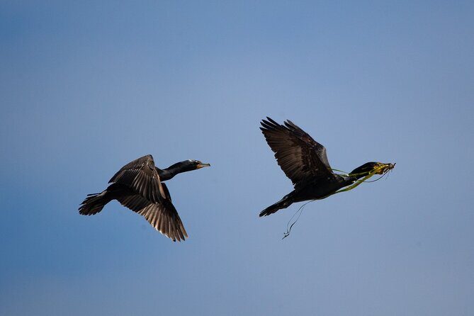 Winter Victoria Whale and Wildlife Covered Vessel Tour - Who Should Consider This Tour?