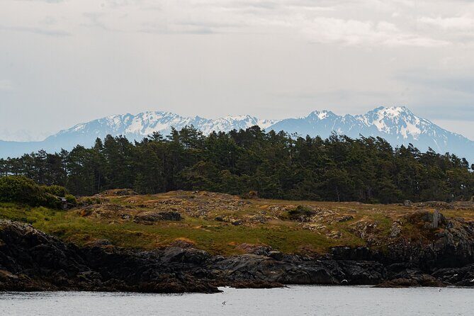 Winter Victoria Whale and Wildlife Covered Vessel Tour - Final Thoughts