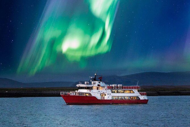 Winter Whale Watching & Northern Lights Cruise | Combo from Reykjavik - What Makes This Tour Stand Out?